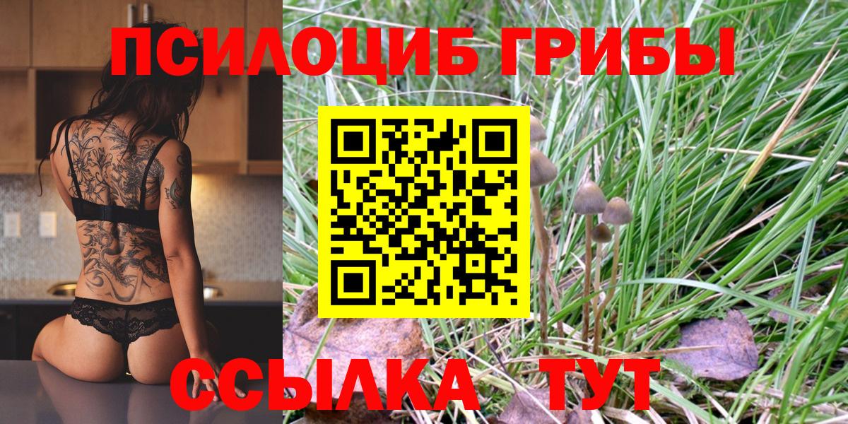 Галлюциногенные грибы мухоморы  Галлюциногенные грибы Magic Shrooms  Кулебаки  Вход с VPN 